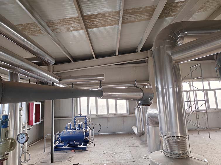 Xinjiang 200-ton Cottonseed Oil Refining Project